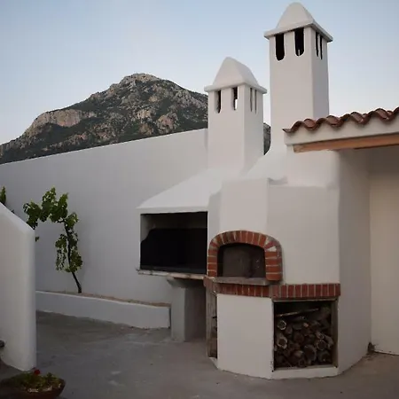 Canne Al Vento Galtellì